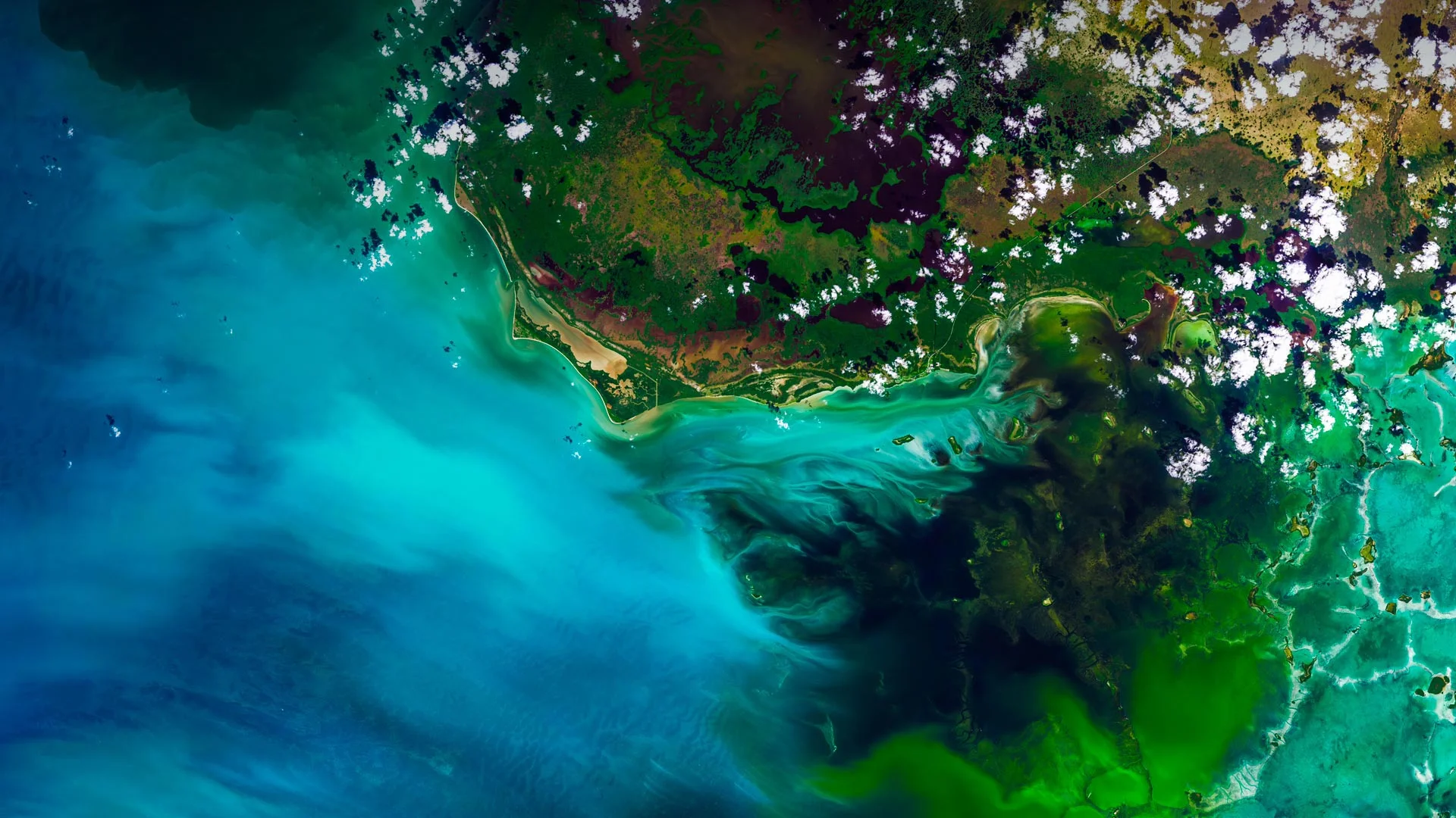 Satellite view of Everglades National Park, Florida