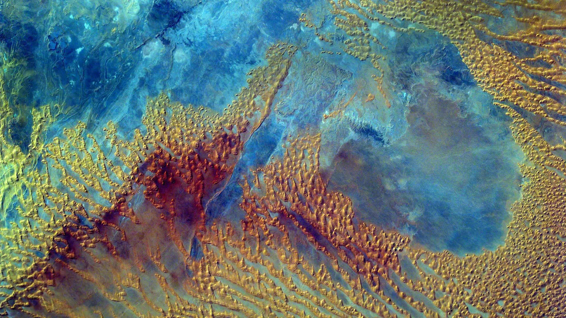 Middle school students programmed the Sally Ride EarthKAM on the International Space Station to photograph this part of the Sahara Desert