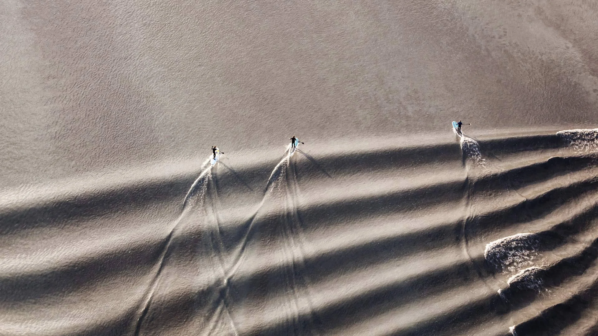 Stand-up paddleboarders riding the bore tide in Turnagain Arm, Cook Inlet, Alaska