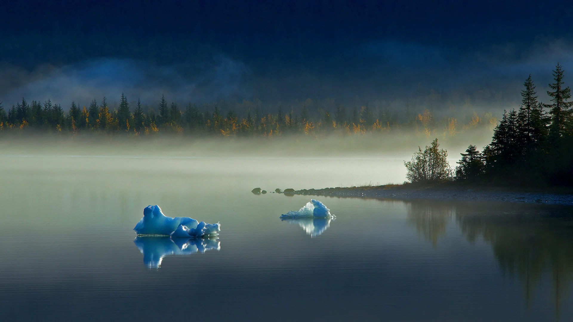 Icebergs in Mendenhall Lake near Juneau, Alaska