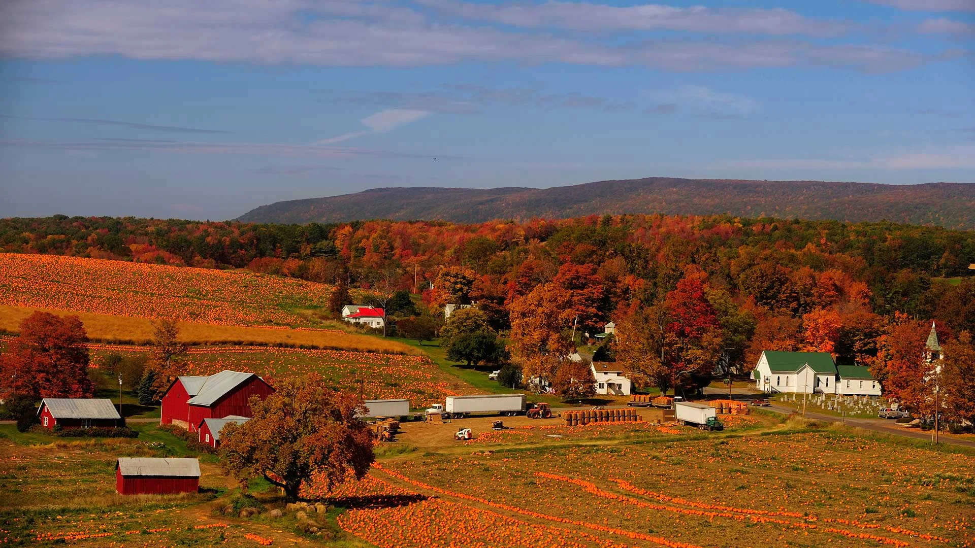 A pumpkin patch in Columbia County, Pennsylvania