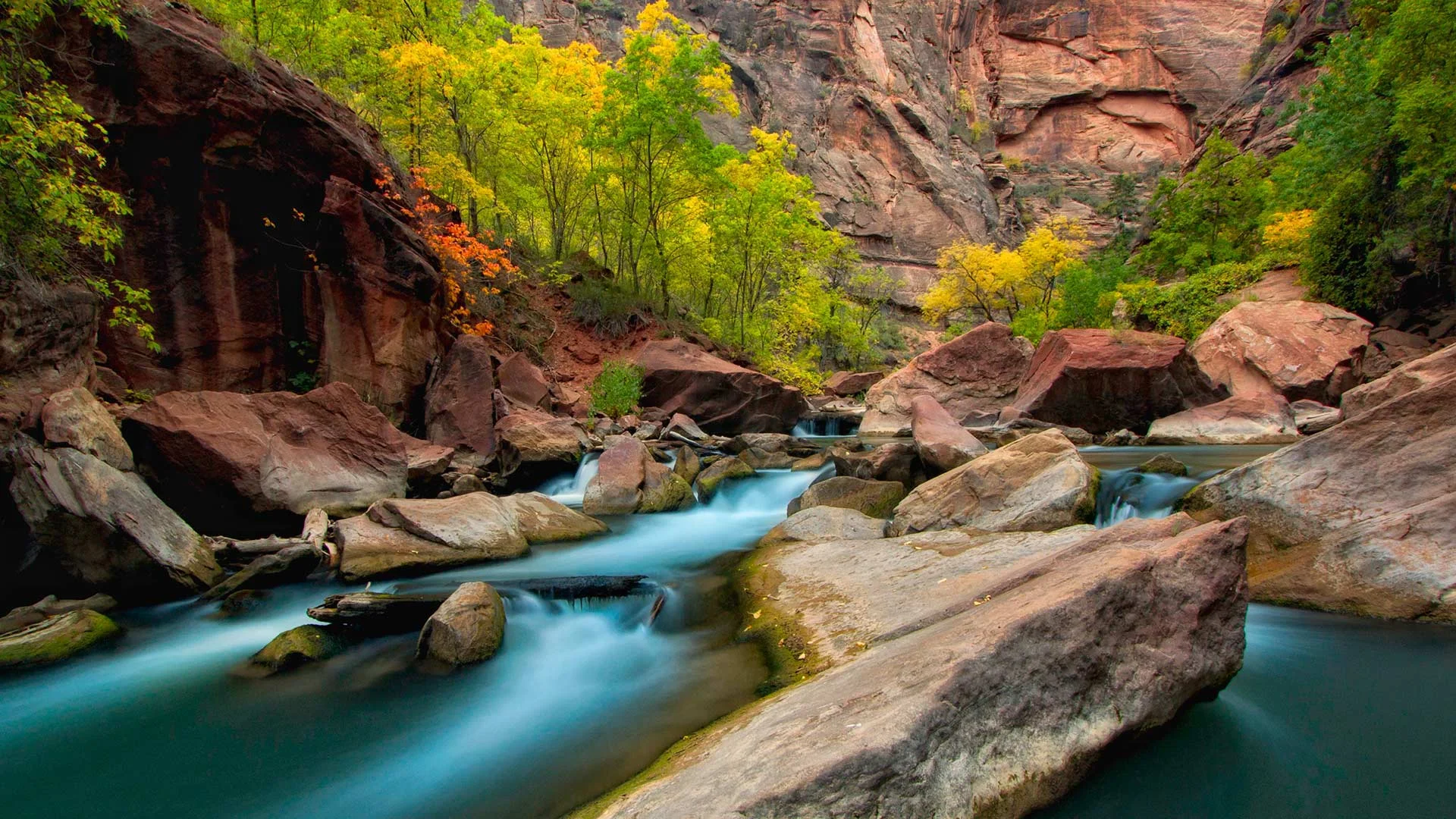 Virgin River in Zion National Park on the park's 99th birthday