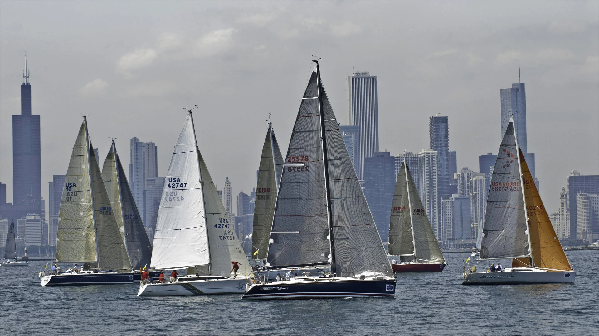Leatherback sea turtles in Trinidad and Tobago