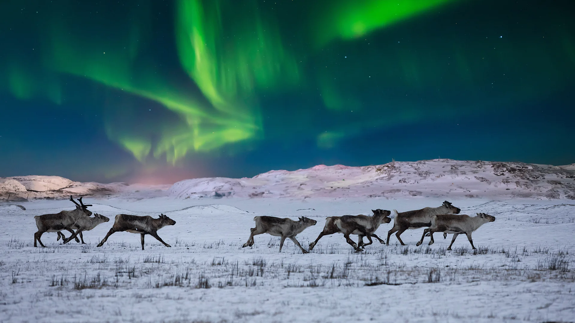Santa's giant sleigh and mailbox, Ilulissat, Greenland