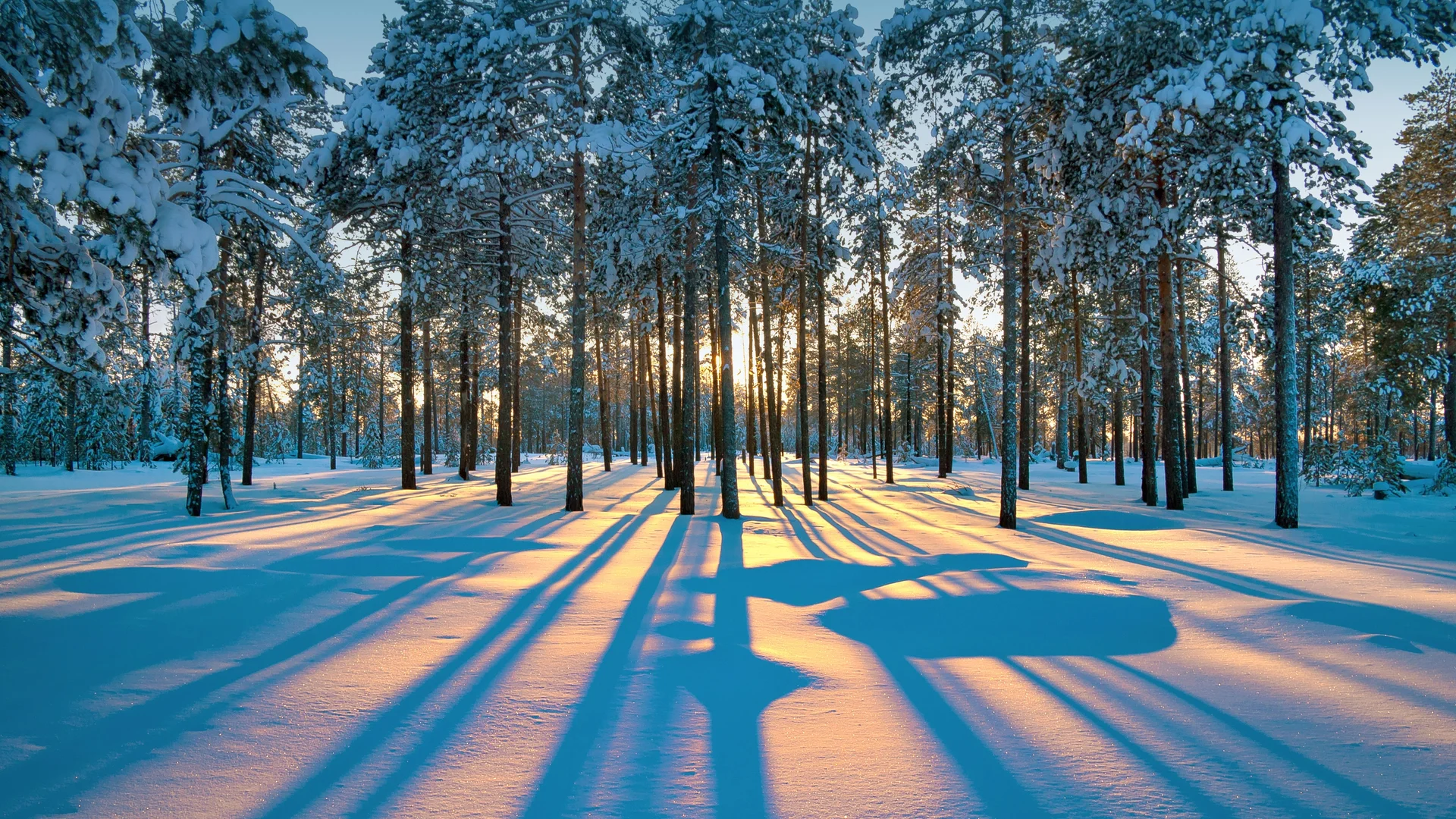 Winter scene illuminated on the Palais de l'Isle in Annecy, Haute Savoie, France