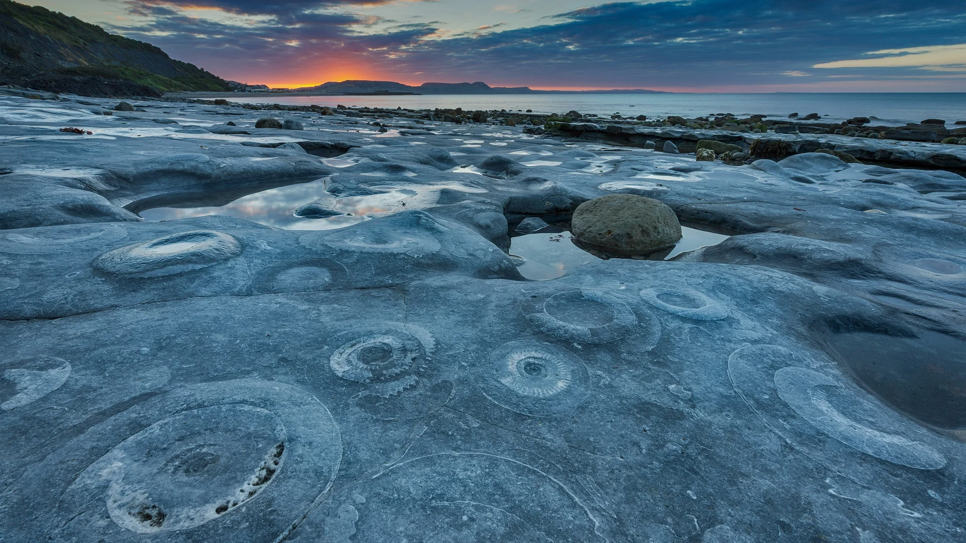 Ammonite Pavement at Monmouth Beach, Jurassic Coast World Heritage Site, Dorset, England