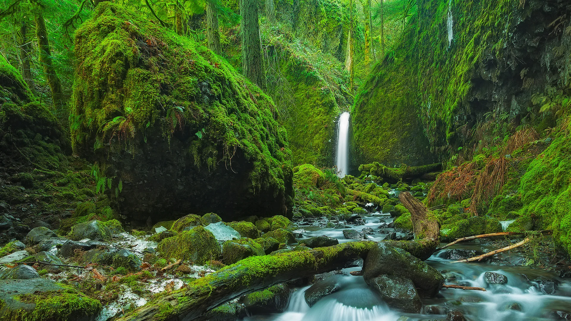 Mossy Grotto Falls, Columbia River Gorge, Oregon