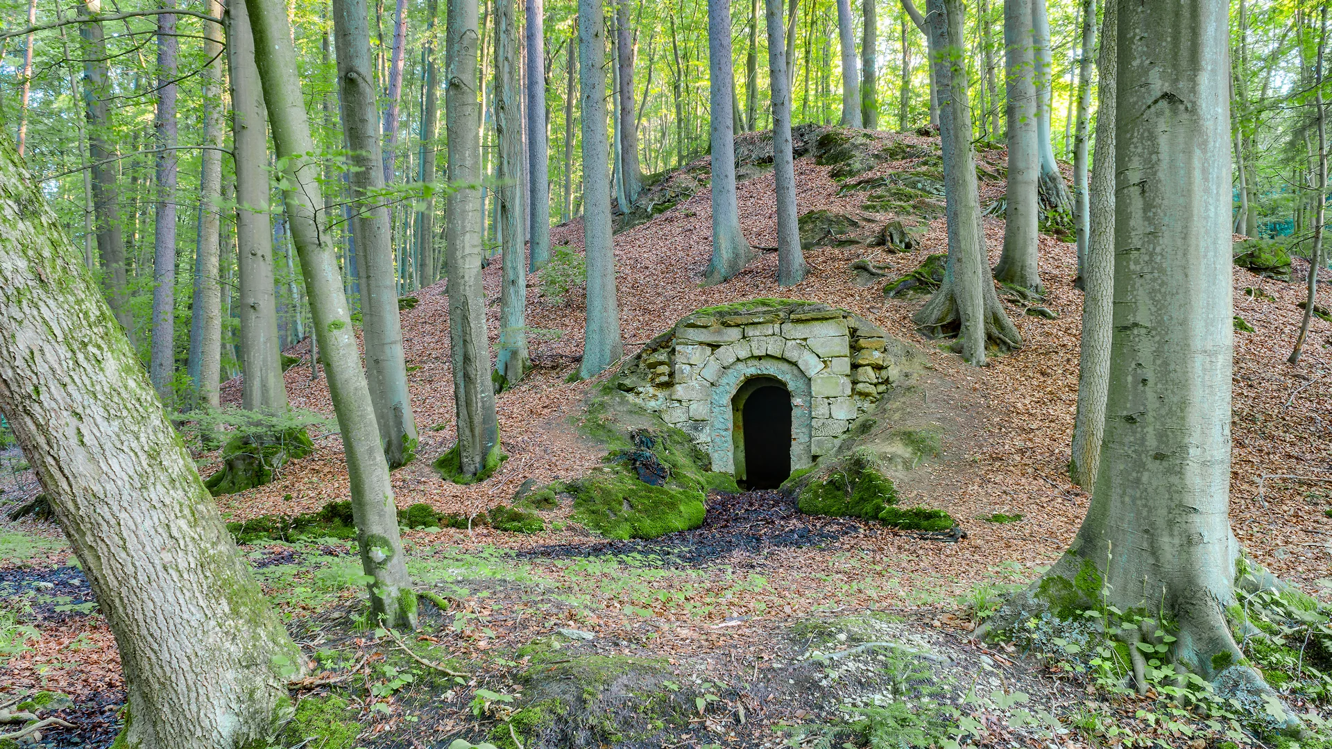 Old underground cellar, Bavaria, Germany