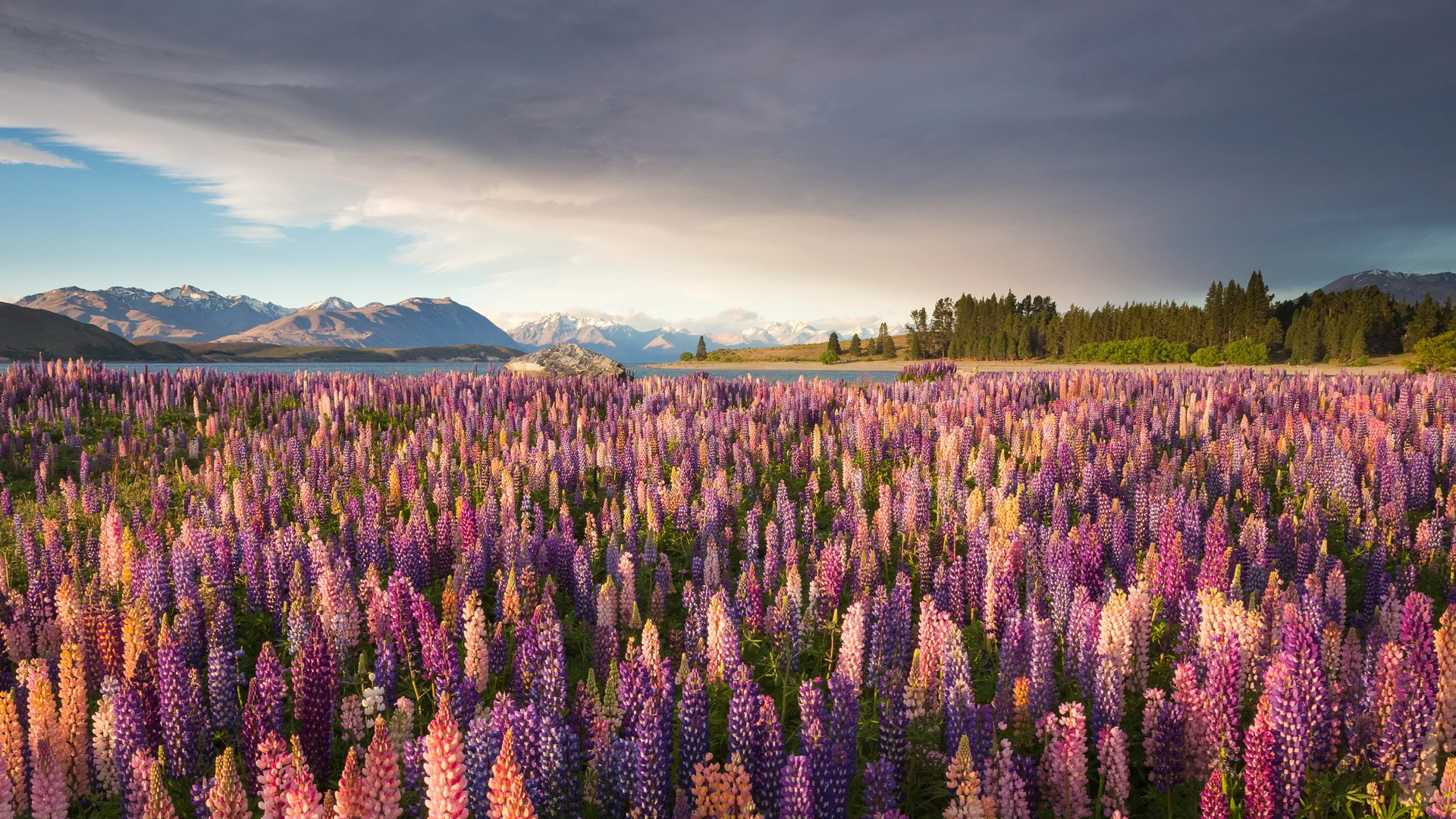 Rapa Valley in Sarek National Park, Sweden
