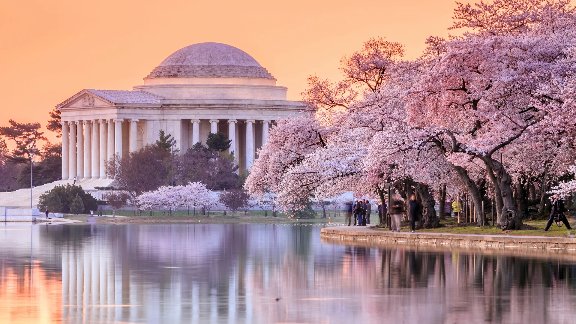 The Jefferson Memorial during the Cherry Blossom Festival, Washington, DC