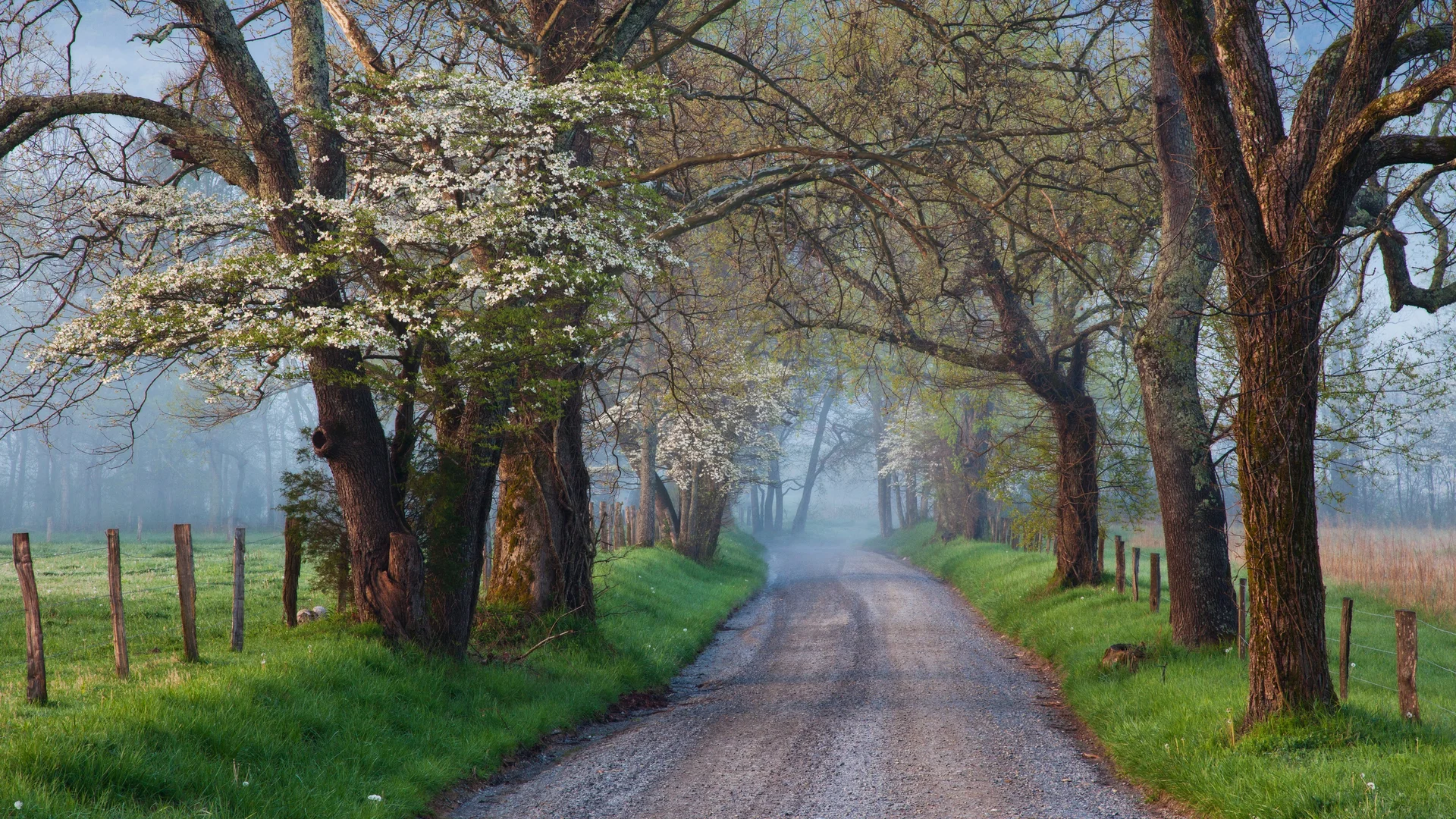 Cades Cove ，大雾山国家公园，田纳西州，美国
