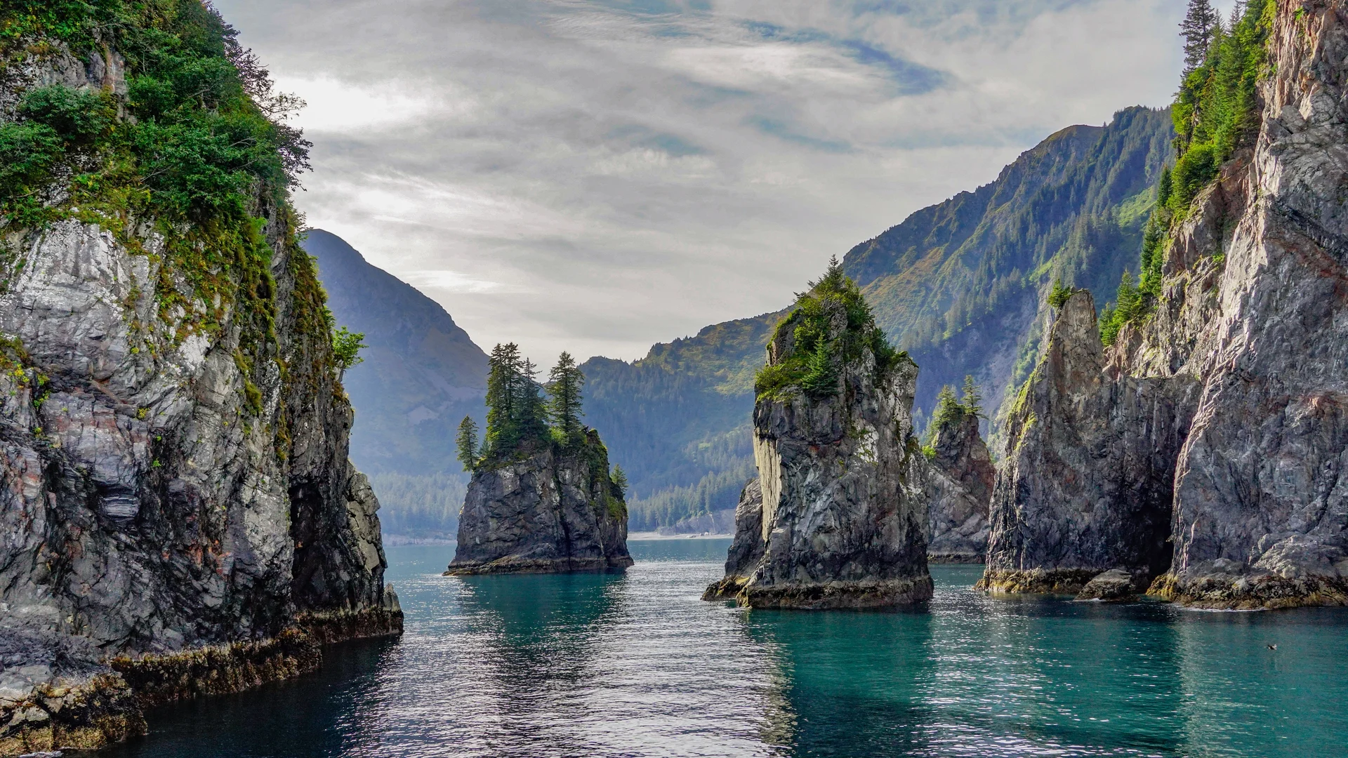 阿拉斯加基奈峡湾国家公园尖顶湾, 阿拉斯加州苏厄德, 美国