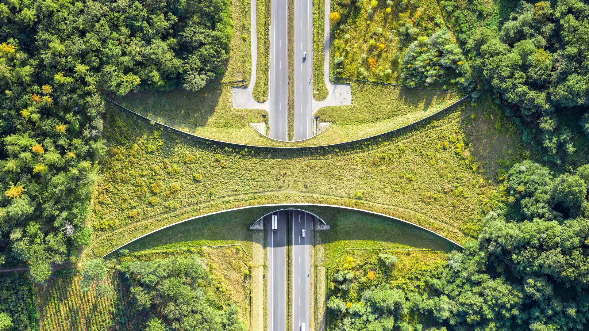 Aerial view of a wildlife crossing near Zakrzów, Poland