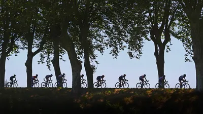 Cyclists ride along a tree-lined road during the Tour de France in 2016