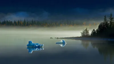 Icebergs in Mendenhall Lake near Juneau, Alaska