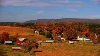 A pumpkin patch in Columbia County, Pennsylvania