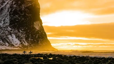 Sea otters in Alaska’s Inside Passage