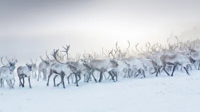 Christmas decorations in Warsaw, Poland