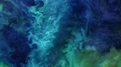 Phytoplankton blooming in the Chukchi Sea off the coast of Alaska