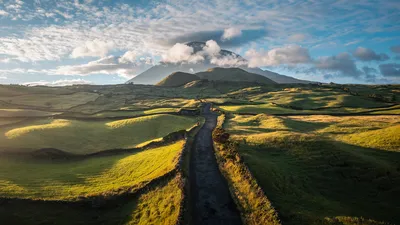Road to Mount Pico, Portugal