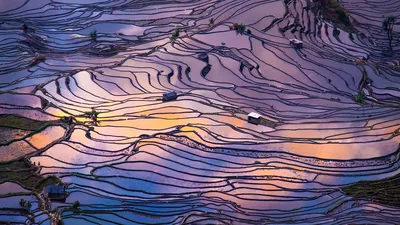 Aerial view of terraced rice fields, Yuanyang County, China