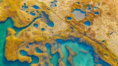 Marshland, Gloucester, Massachusetts
