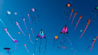 Adelaide International Kite Festival, Australia