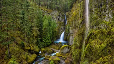 Wahclella Falls in the Columbia River Gorge, Oregon