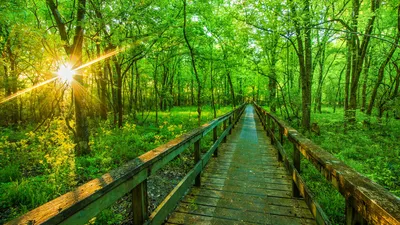 Wander often, wonder more