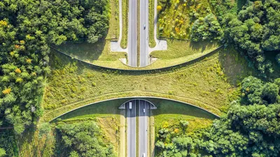 Aerial view of a wildlife crossing near Zakrzów, Poland