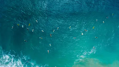 Aerial view of surfers, Santa Catarina, Brazil