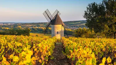 A toast to the harvest